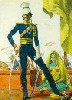 Avatar de Usuario
