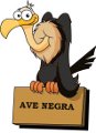 Avatar de Usuario